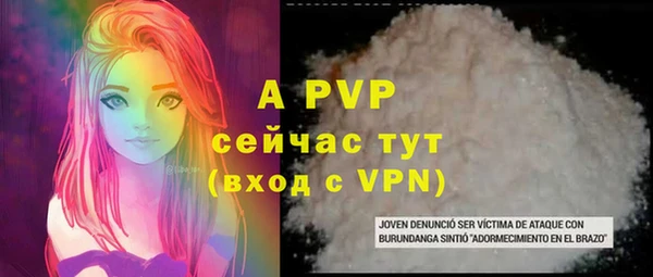 ГАЛЛЮЦИНОГЕННЫЕ ГРИБЫ Сясьстрой