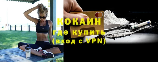 стаф Тавда