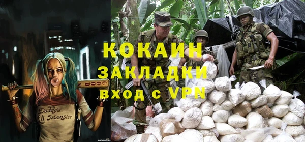 прущие крисы Тайга