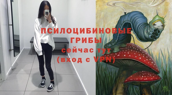 стаф Тавда