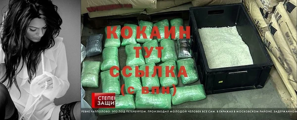 ГАЛЛЮЦИНОГЕННЫЕ ГРИБЫ Сясьстрой