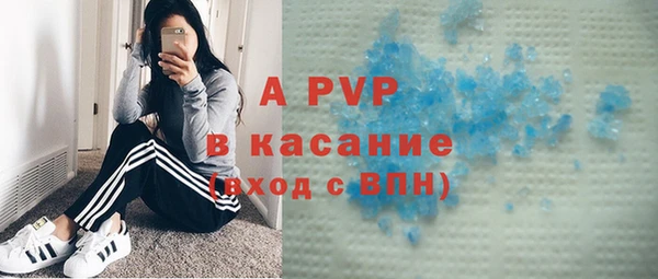 ГАЛЛЮЦИНОГЕННЫЕ ГРИБЫ Сясьстрой